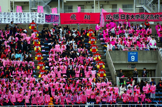 応援席のピンク旋風 日大藤沢高校応援団の写真